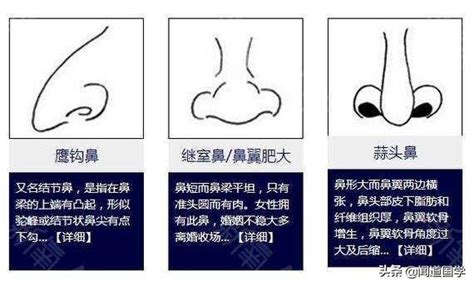 鼻孔一大一小面相|鼻孔大小不對稱的面相解析